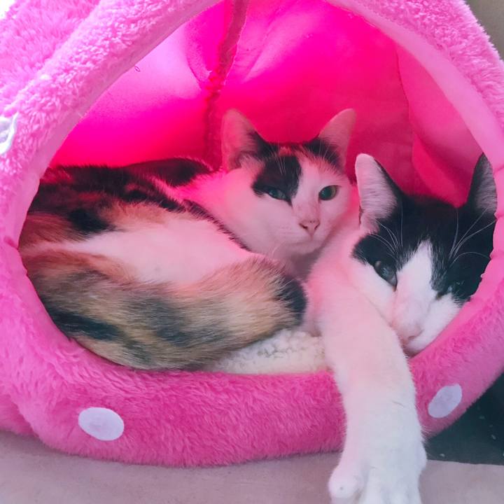 35a209f6 66e4 4155 83b5 9ed71e4ff7d3 1507770596119