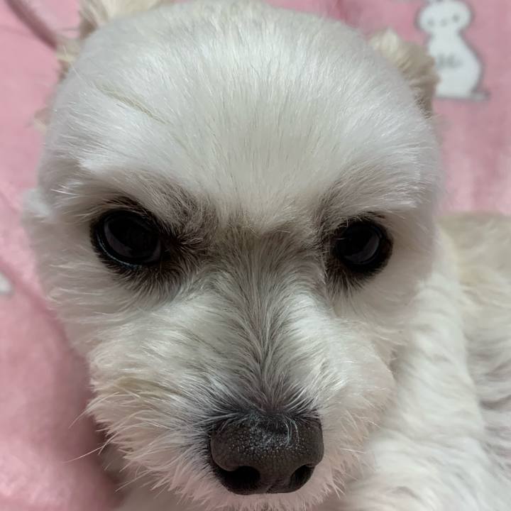 35a23070 38bc 485e a817 f42bd9c7d710 1574511559763