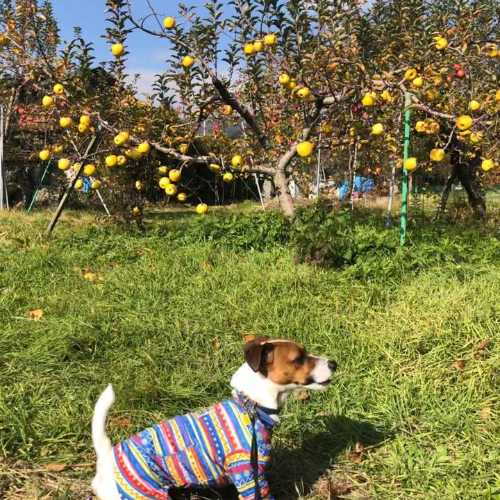 35a25486 c795 439d 927d c17cf8df6356 1574850598952