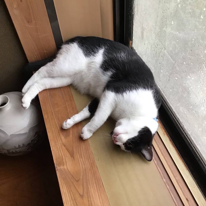 35a28f51 0e28 4e9d 823a 42fd98f1ca17 1721979568190