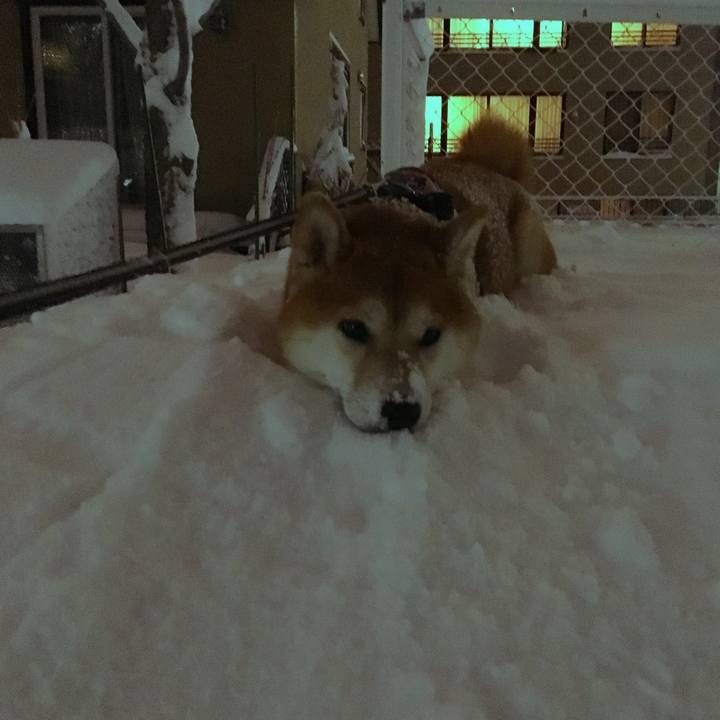 35a2ec7d 2a45 4949 b7a2 4228cce811ca 1516713792380