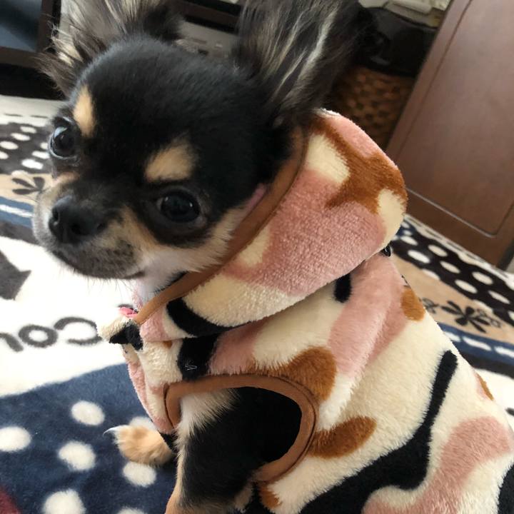 35a32ced ca3f 42df 87fc 5bae6c2c0f36 1541402077258