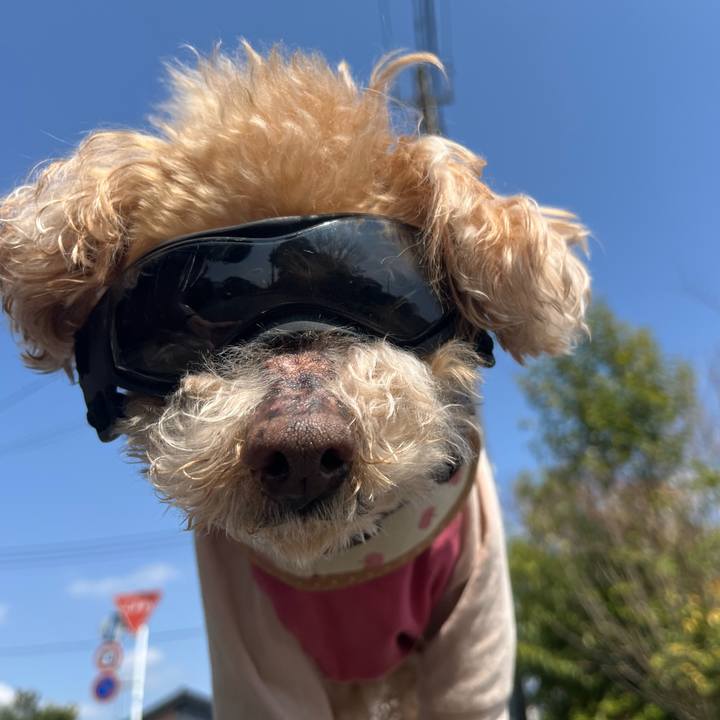 35a33c09 4214 4830 a21c 52d3fd71cafe 1774679573817