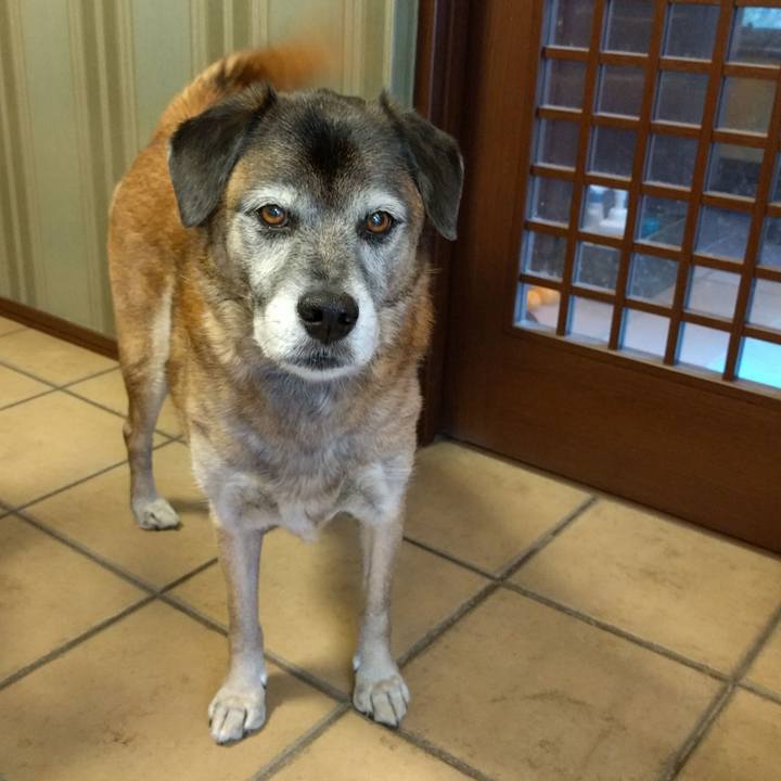 35a37444 de29 4d09 914d 7f0f0b1495f7 1545960553890