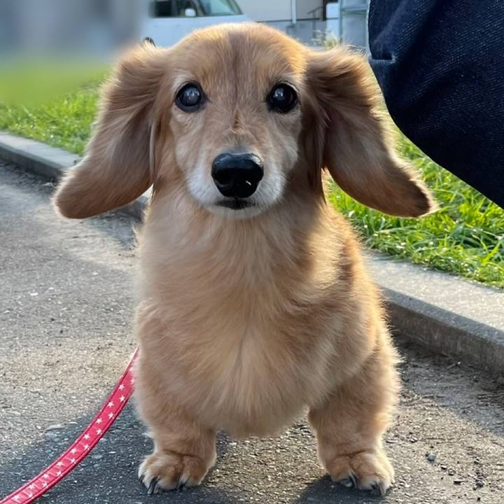 35a38499 852a 4933 af69 1ac5cb7fb08a 1635854182376