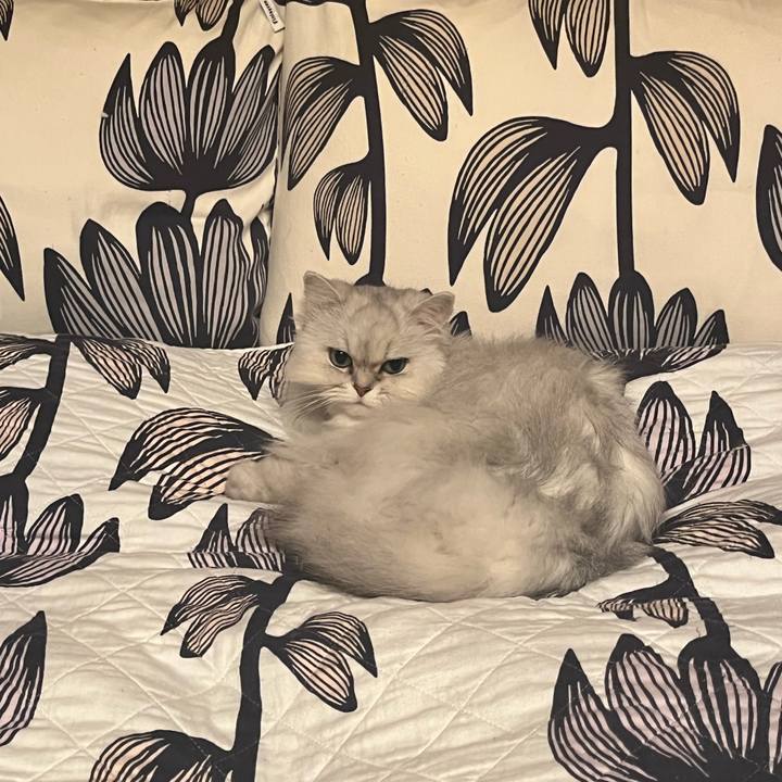 35a39c44 b95b 49ea 925f d3c1c015aa8a 1652449372214