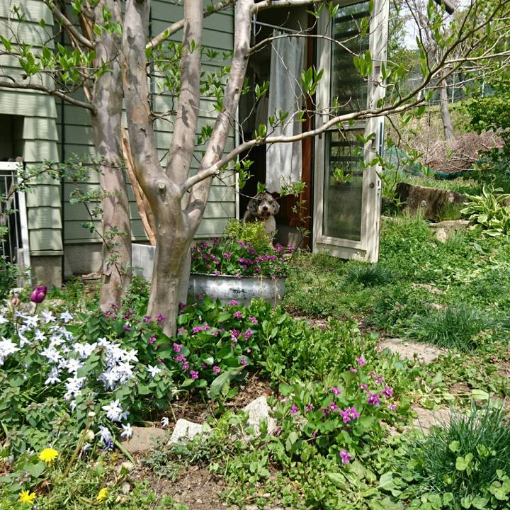 35a3b105 7062 4794 b956 af45a5be5d81 1557031803797