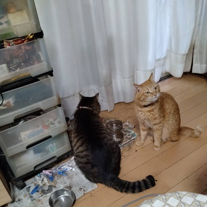 35a3b211 788c 4eed 87ac 2a552545b74b 1712219893882