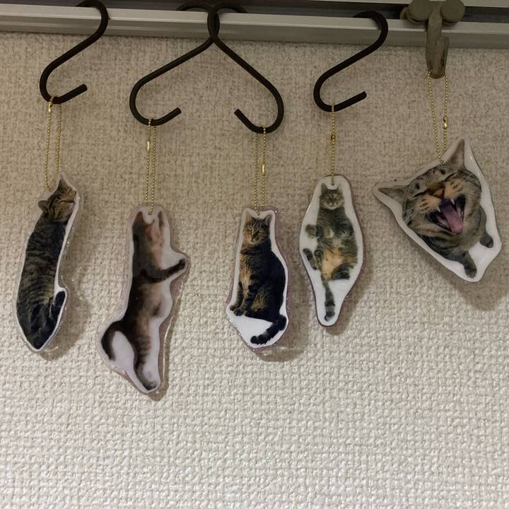 35a3b4df 96dd 467e 9ed6 36b2f3e5fd9c 1708267044927