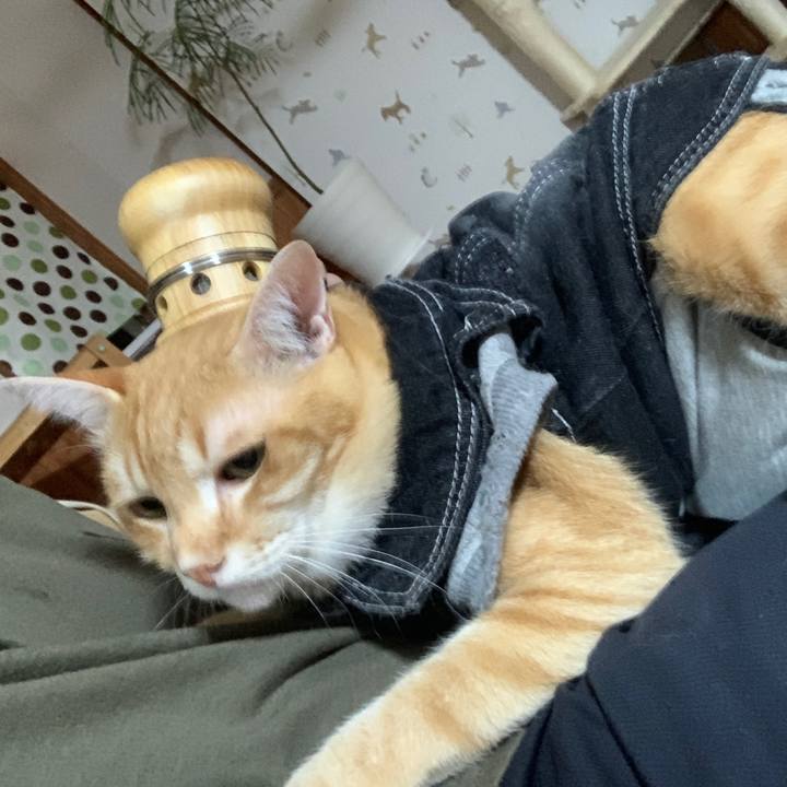 35a3c0a8 7cda 4797 9237 278525b35281 1654176887038