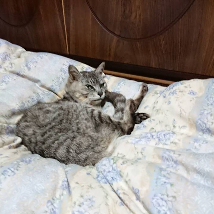 35a3e6c0 8661 43b2 9636 710c7ab510c2 1595073679461