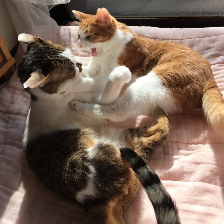 35a3f2ea d77d 44c9 883d 0b7e841622bb 1510297959797