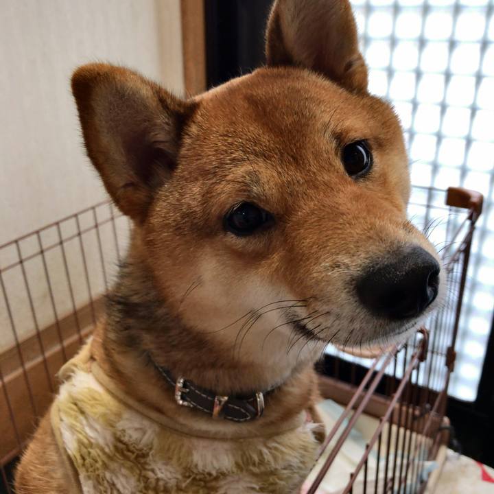 35a3feea e6e4 425e bacc dd8bacc1c2a4 1519168238819