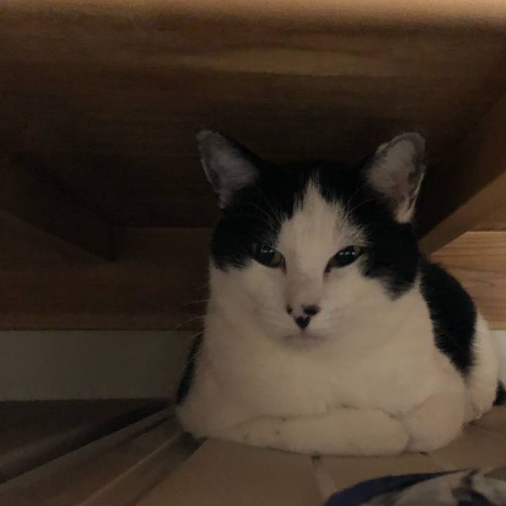 35a42fa5 29a0 4542 883e a58cdf1b3d87 1546428681273