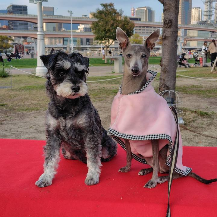 35a4e359 d4fc 41cd 8f15 8d5d206bc489 1775125118216