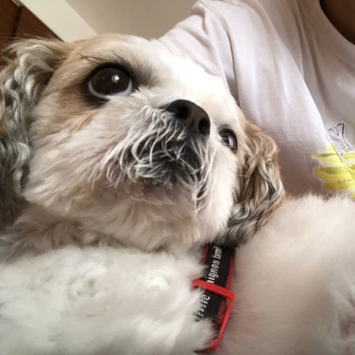 35a503c5 aa66 4d2f abc7 6b4c5c2f12cc 1566424666251