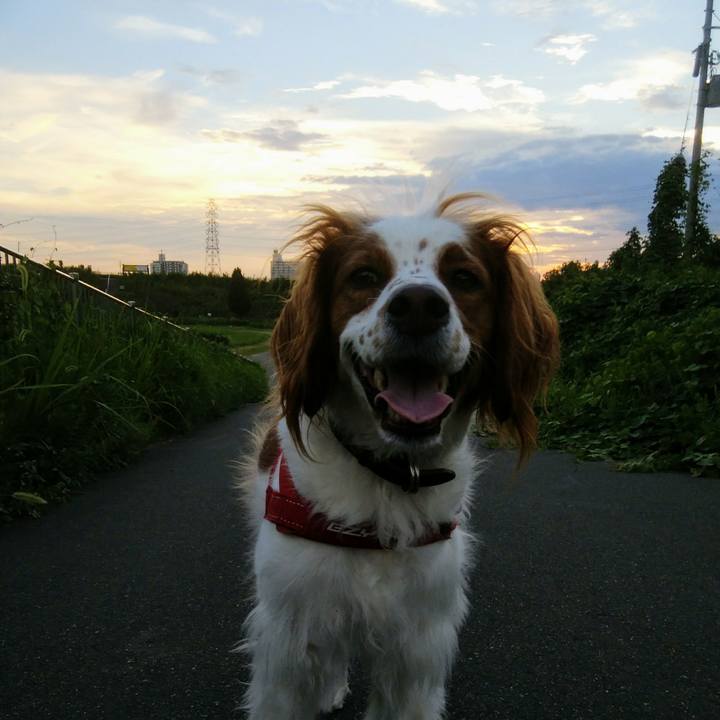 35a53816 0f25 4f1f 93ce dc73f9aecb54 1535458749376