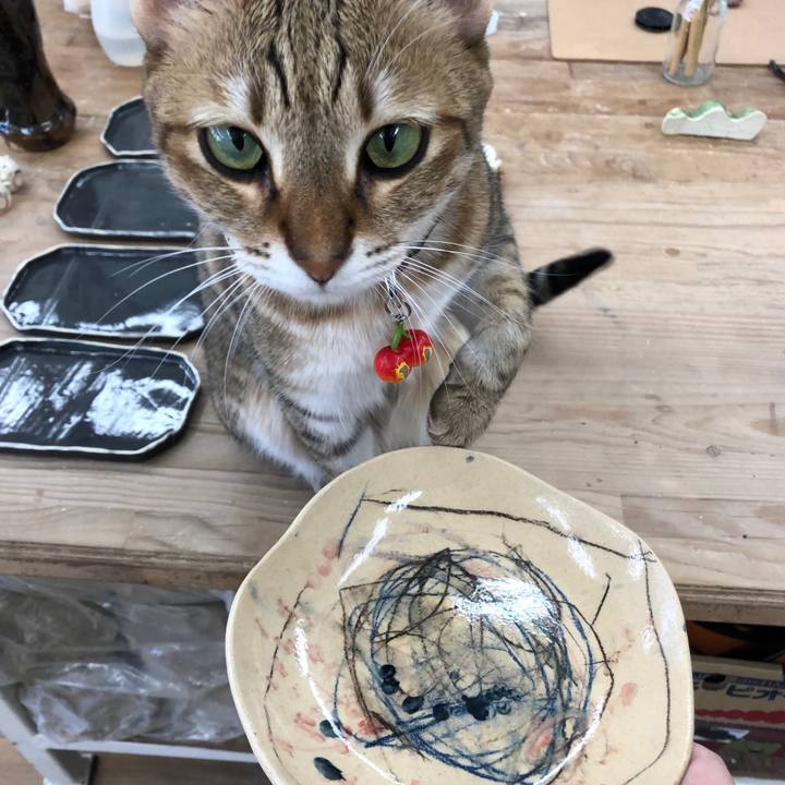 35a544a2 ae41 4897 80eb b34b16c522d6 1666331853669