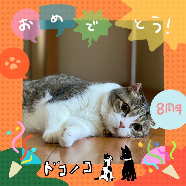 35a54b8b 3de5 4ef0 8bfa 098014587213 1718151611990