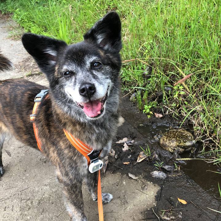 35a556db 991c 4191 8e24 7f81ff8e9793 1686913199673