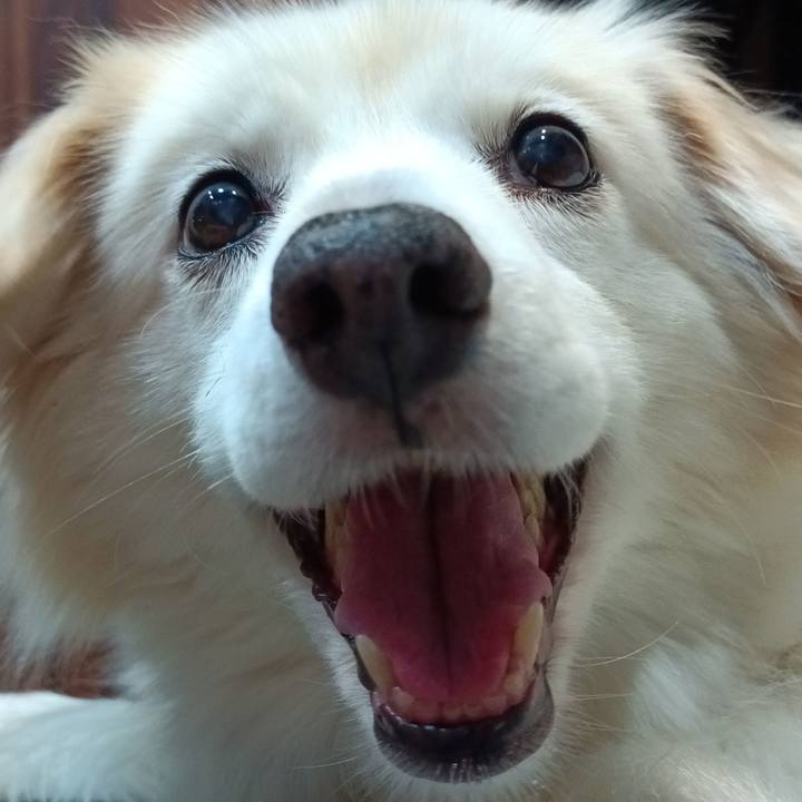 35a56c98 16b6 46ae b23b 2baaca2a3a6e 1691586886153