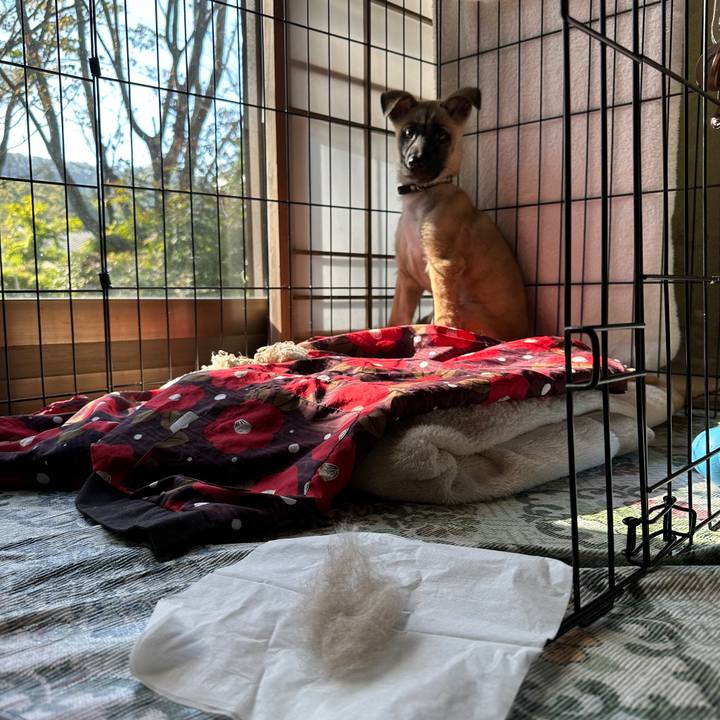 35a57a43 6f7c 44da a487 15f58aa8cb6e 1697593550633