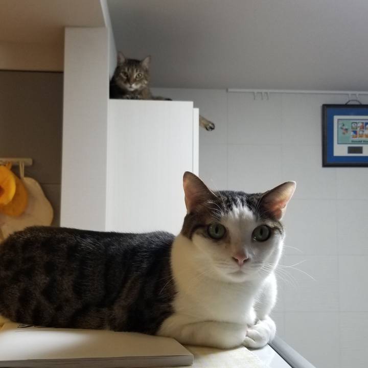 35a64afe b0cc 4148 a368 1b401937ccba 1556055745037