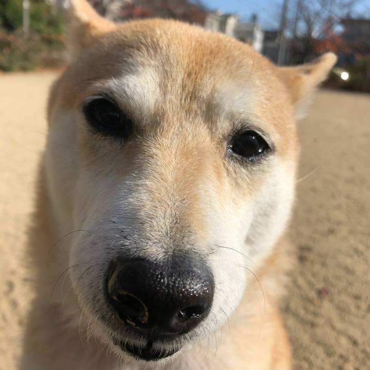 35a652fb 89e6 4cf0 a437 3f2c99db667b 1576473782272