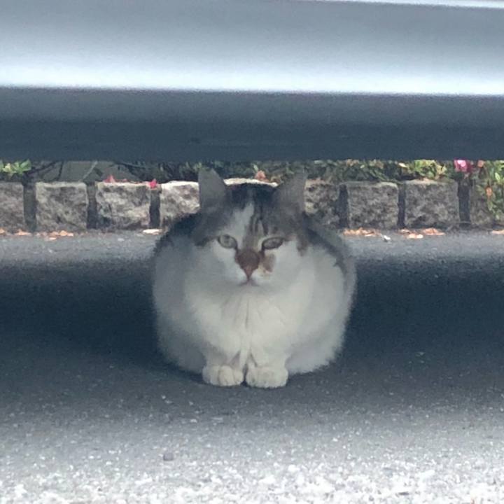 35a661dd ef94 44b4 93b7 c8b878e18bc7 1527861414521