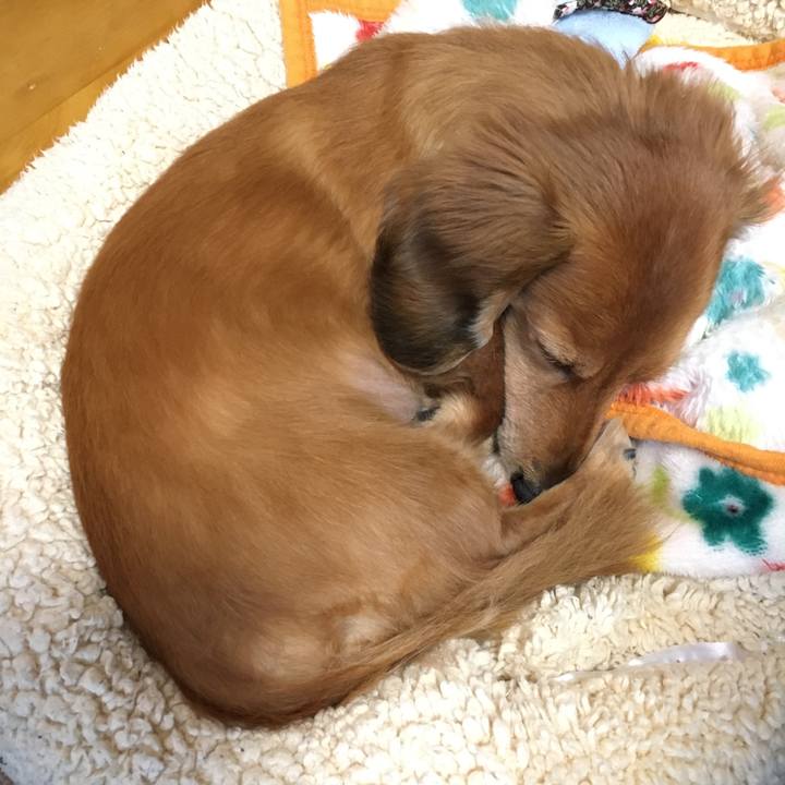 35a66dea 2d47 4e71 a476 d28b6a1a26a6 1581514693853