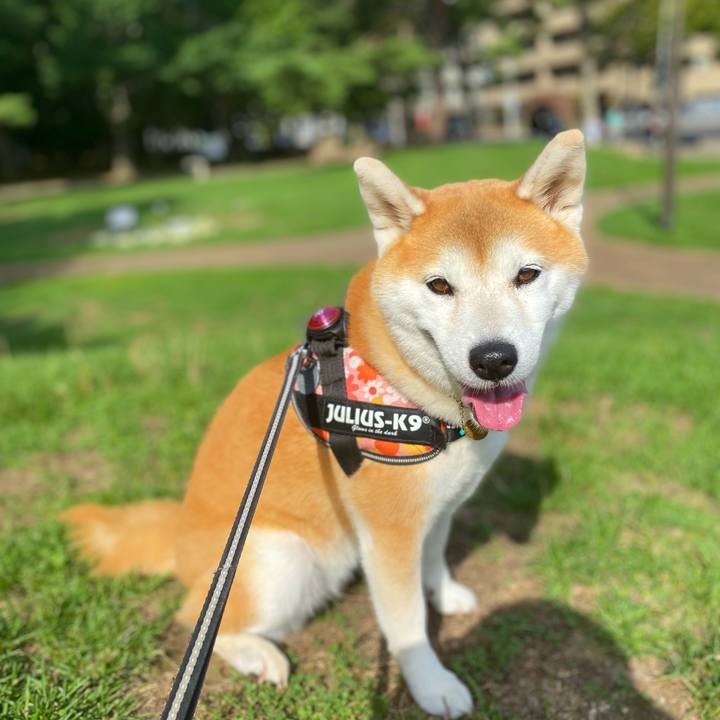 35a682b4 4199 4256 9b79 d05766b9fae0 1630285586212