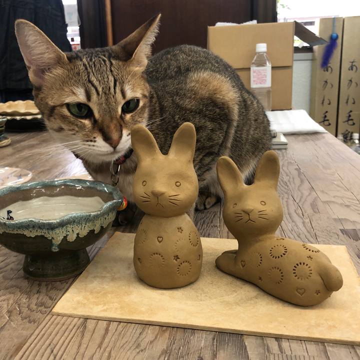 35a6901f 5b62 4c6b 99c4 57ec0eb9ada8 1665979041802