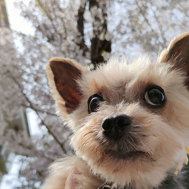 35a6d045 ca40 4b22 ab26 e9a1bb1c5243 1648901916836