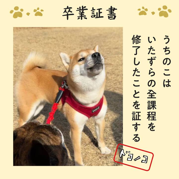 35a70046 d120 44b0 96f2 2ae3ad683bb6 1771935899900