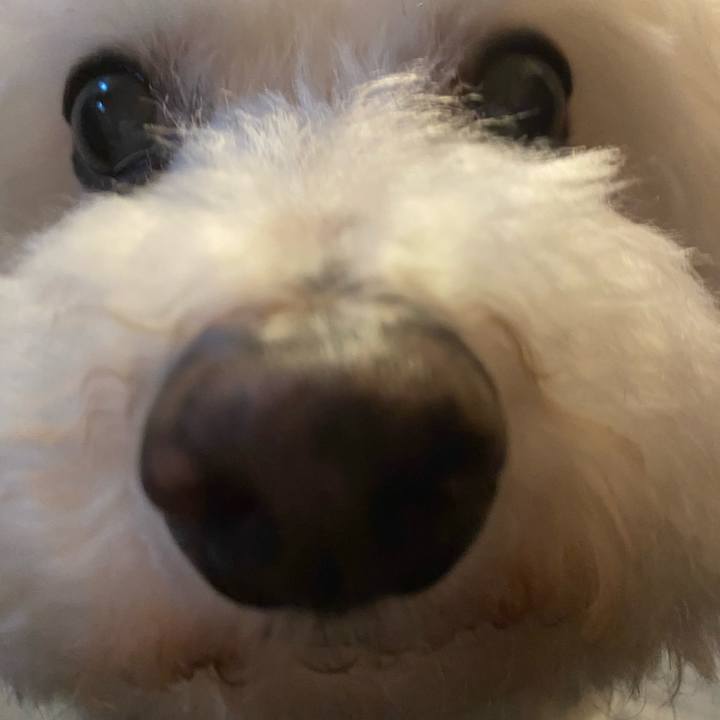 35a70dd0 6566 4b8d 8e0b fcf32ed32bd7 1621581165691