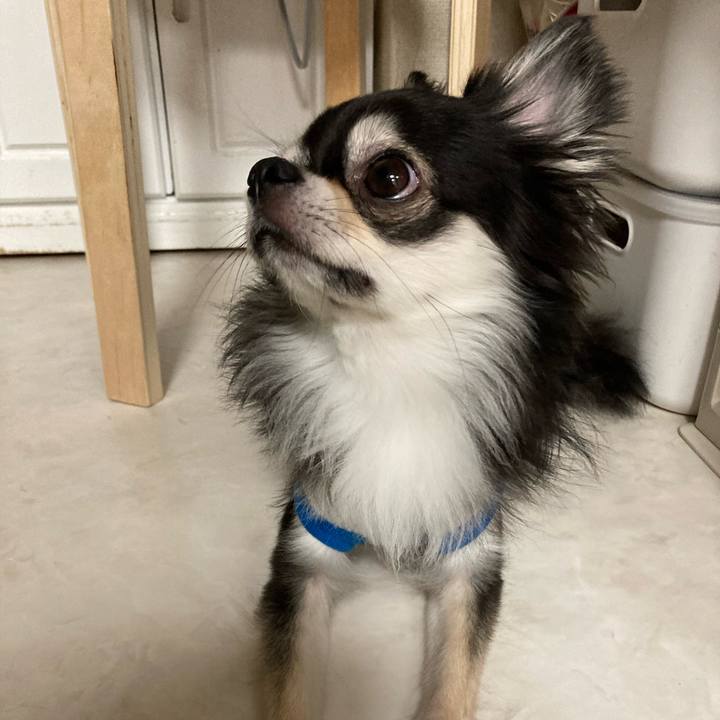 35a718f0 7283 46f4 b36d b34b50ddf381 1655559073354