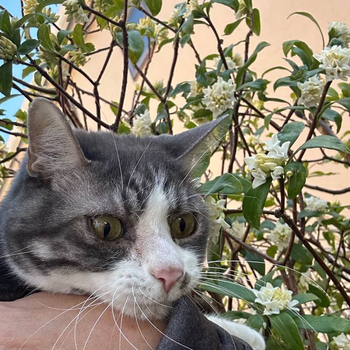 35a72ba1 dac8 4543 9846 90807656ff6f 1772849629011