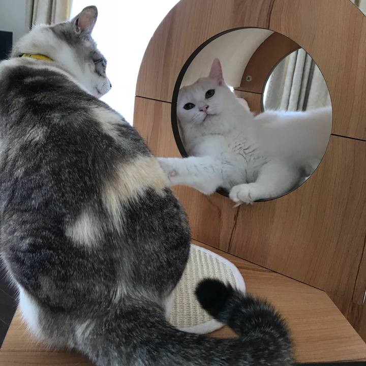 35a7303e 0c66 4a54 84cb c0f64385e804 1524457015424