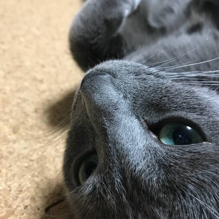 35a77d5a b015 411f 8e56 43db494acd33 1528497321818