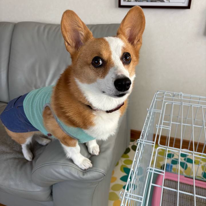 35a786e1 180d 4ecc a923 e9aecd321868 1758495545322