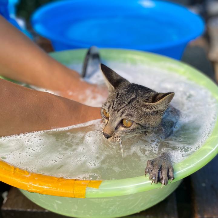 35a801bb 3242 44d7 a69c 8ad420361170 1725931916623