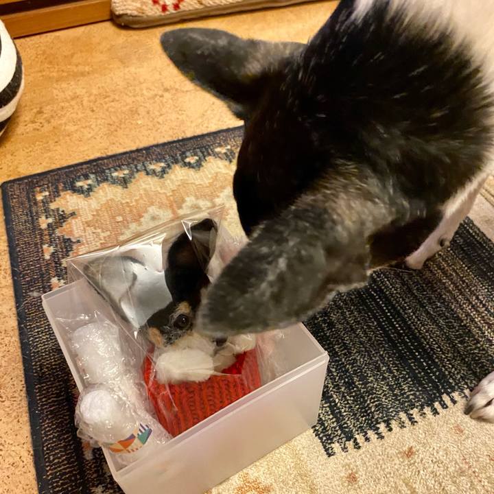 35a807e9 ee11 48a4 a6e3 83474a806acb 1617106196624