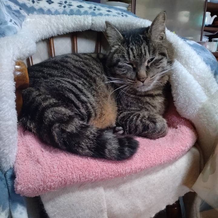 35a826e0 d99b 4a7b bb3d 3ff2e4cf9d95 1674714413177