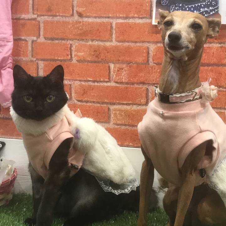 35a842df 0c64 4818 8541 5a8d19fc1ea0 1519474133783