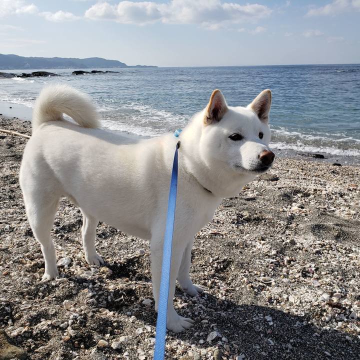 35a8687a 6821 4996 834d 48a8ee65ae0c 1547802054178