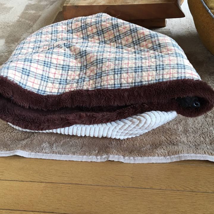 35a87718 ab89 452b b782 6531b22fc550 1546986300181