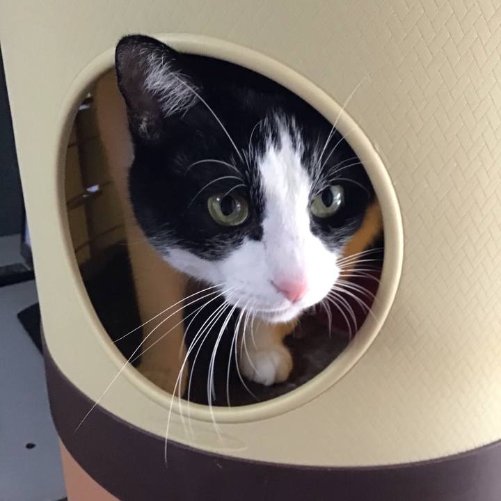 35a88f30 6f3c 4e6e 9fd4 52cd61f5cb3d 1732180089104