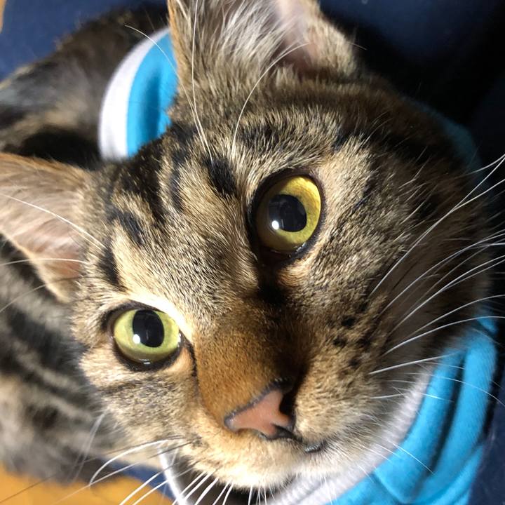 35a8b7e1 7864 4d66 8ae3 1bc58d94e25f 1736846911723