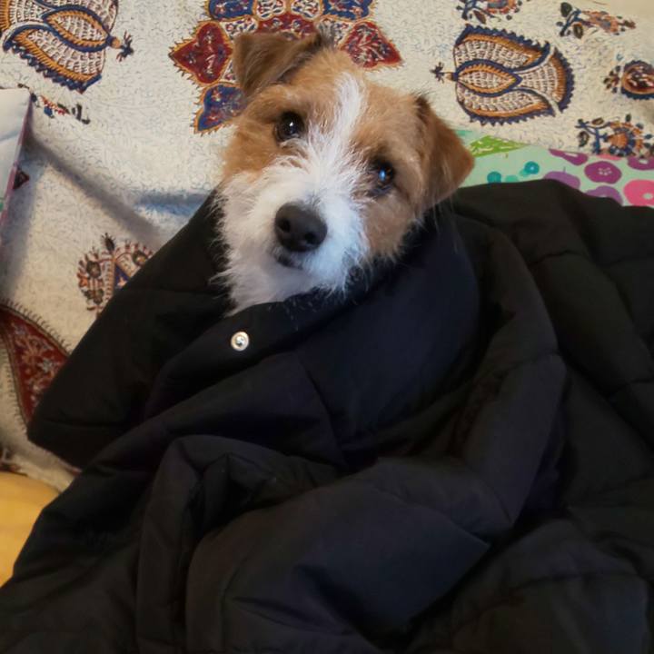 35a8eec0 1455 4956 89cb 14171981bb65 1577056151351