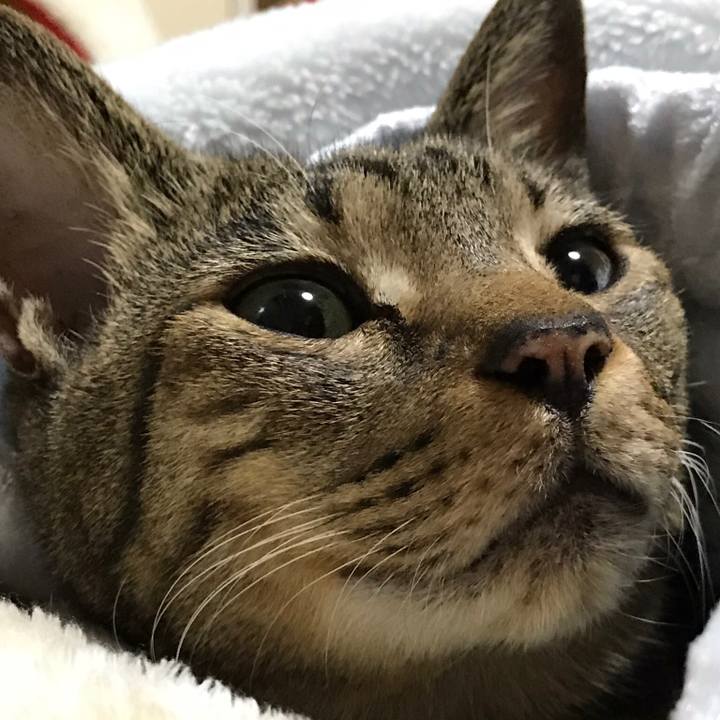 35a90476 c39a 4669 b394 9a6a912ed920 1512090309599